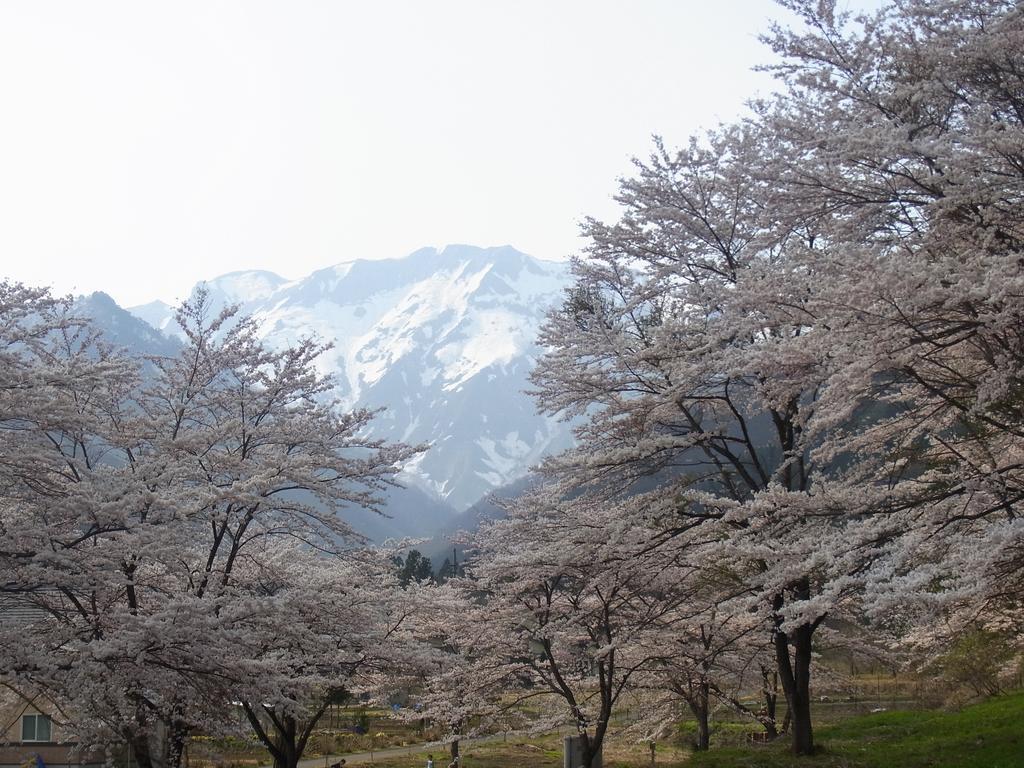 מינקמי Ryokan Tanigawa מראה חיצוני תמונה